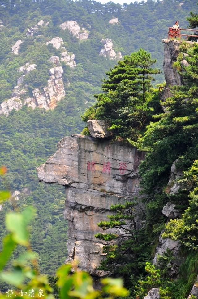 免费XXX性高电影,免费自然之旅电影，探索美景，寻找内心的宁静与平和