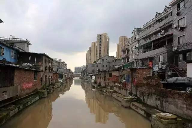 巷弄深处的独特风景（或可简化为“巷弄风景”）