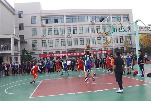 篮球比赛，竞技精神与观赏价值的深度探讨之旅