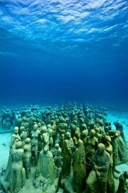 放生疗愈奇效揭秘，自然美景下的治愈之旅最新报道