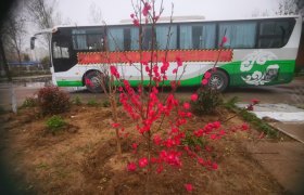 新乡育华驾校最新价格，学车之旅的友情与陪伴启程