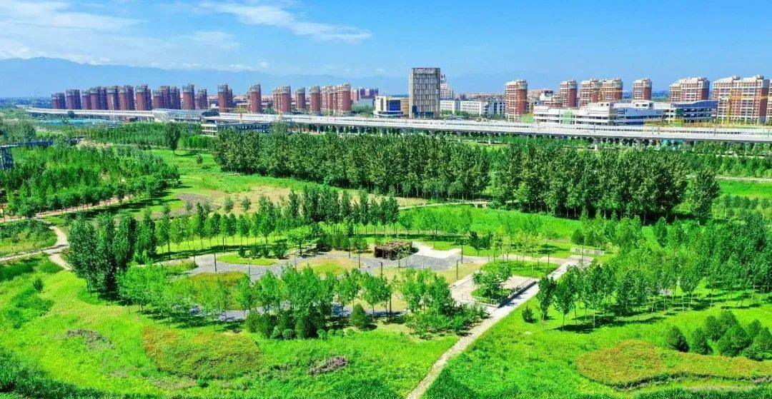 侯台湿地公园最新动态，科技与自然融合，塑造未来湿地体验