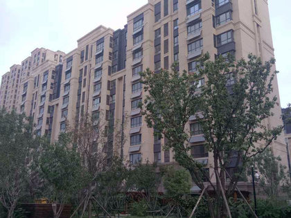 廊坊孔雀城最新房价揭秘，小巷深处的独特风情与诱人探索之旅