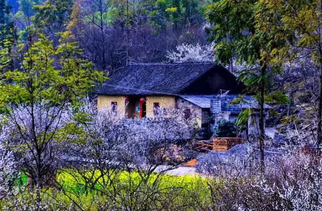 美宜佳店铺转让，自然美景探索之旅邀请