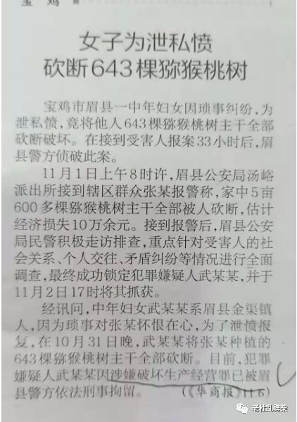 最新入户盗窃司法解释及其步骤指南