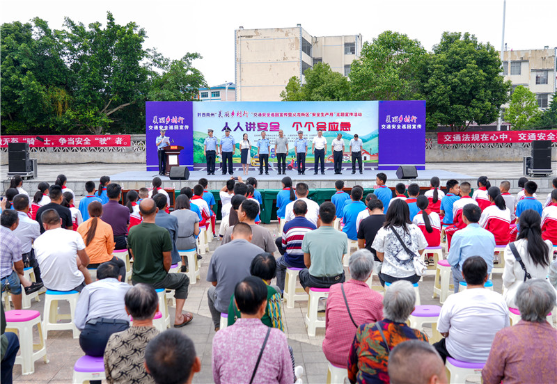 义龙新区最新动态概览