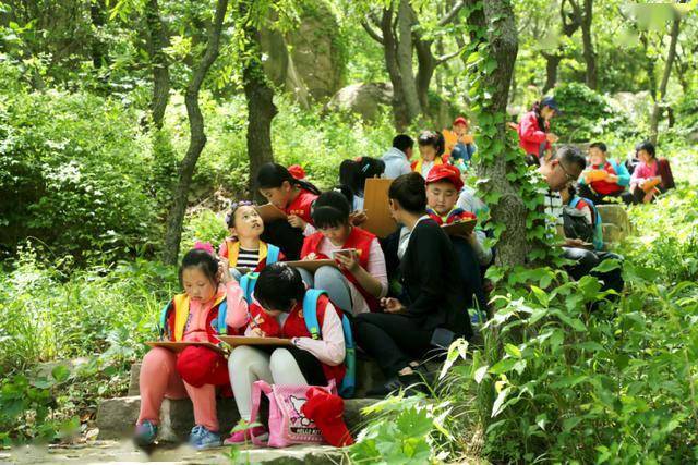 最新笔仙，学习之旅中的自信与成就感提升之路